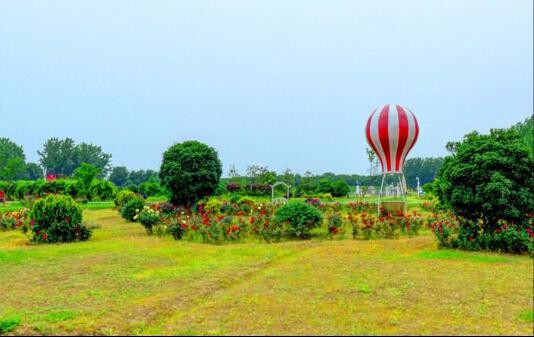 半島最新官網(wǎng)(中國(guó))有限公司官網(wǎng)